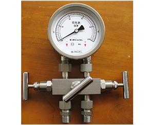 池州差压表带三阀组